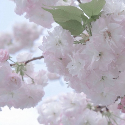 茄子河FurryQQ群介绍